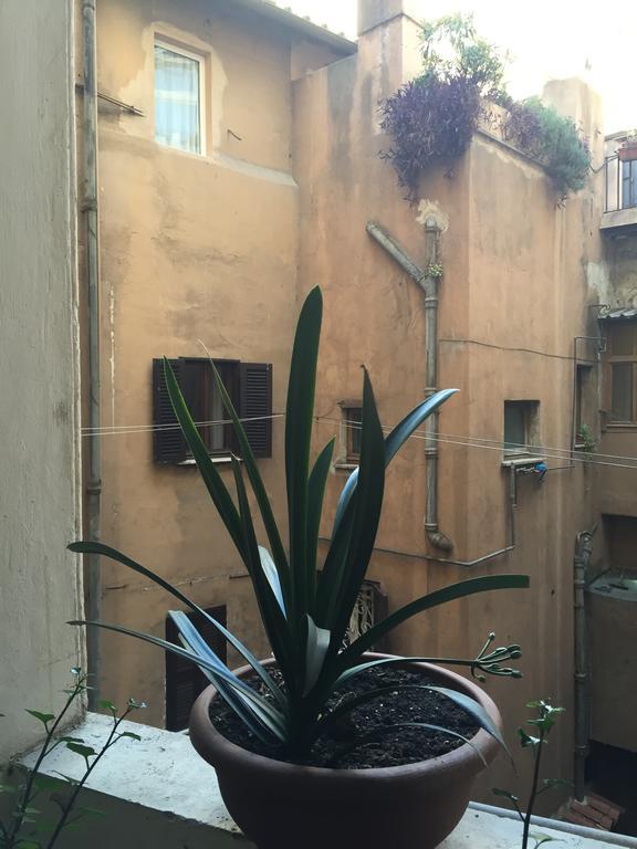 Casa Magiuli' Navona Apartment โรม ภายนอก รูปภาพ